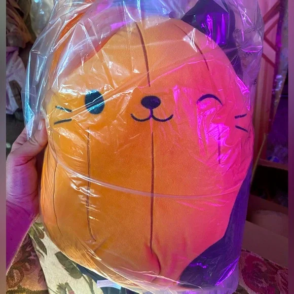 New 12” pumpkin cam squishmallow - Picture 1 of 1